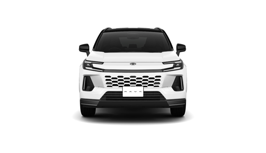 ブラック〈202〉×プラチナホワイトパールマイカ〈089〉［2VP］フロント