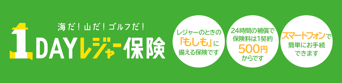 1DAYレジャー保険