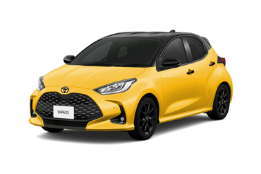 ブラック〈202〉×マスタード〈5C5〉［M25］フロントサイド